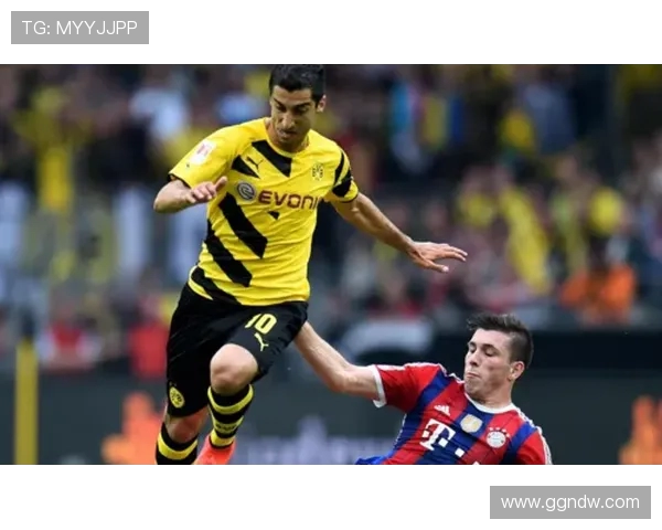 德甲各球队股权：德甲球队股权结构及投资者背景